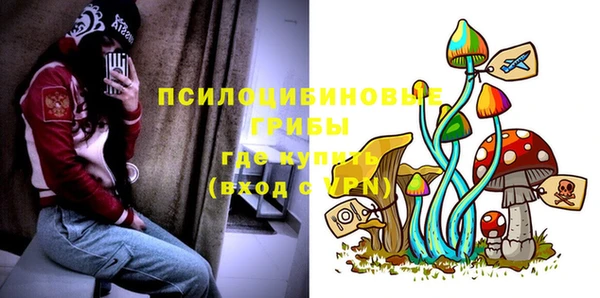 сатива Верхний Тагил