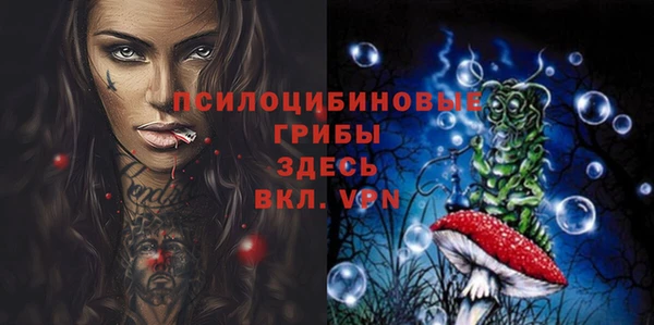сатива Верхний Тагил