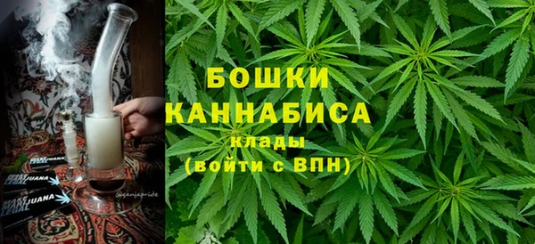 сатива Верхний Тагил